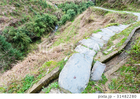 wet pathway and irrigation ditch on slope of hill 31482280