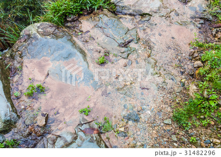 wet footpath on terraced hill in Dazhai wet footpath on terraced hill in Dazhai 31482296