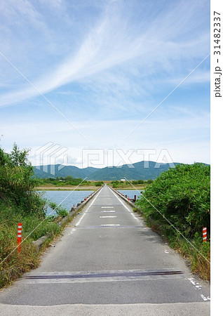 高瀬橋 高瀬橋 31482337