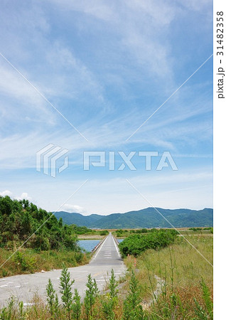 高瀬橋 高瀬橋 31482358