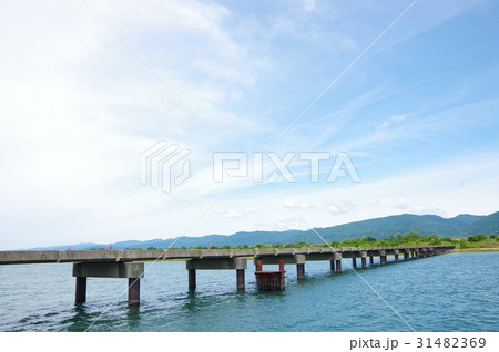 高瀬橋 高瀬橋 31482369