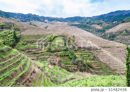 terraced fields near Dazhai village in country 31482436