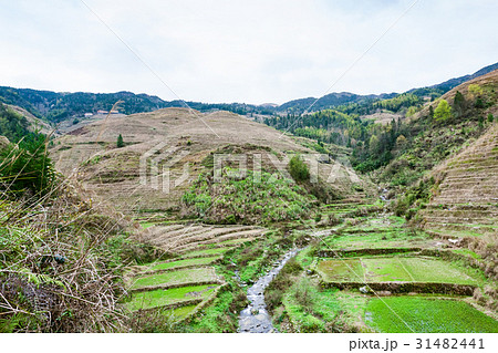 view of terraced gardens and creek in Dazhai 31482441