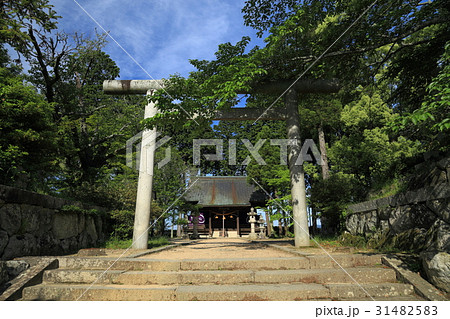 篠山城 青山神社 篠山城 青山神社 31482583