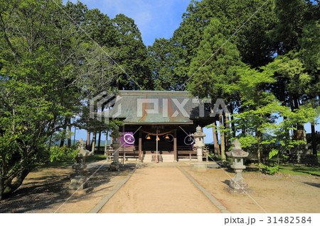篠山城　青山神社 31482584