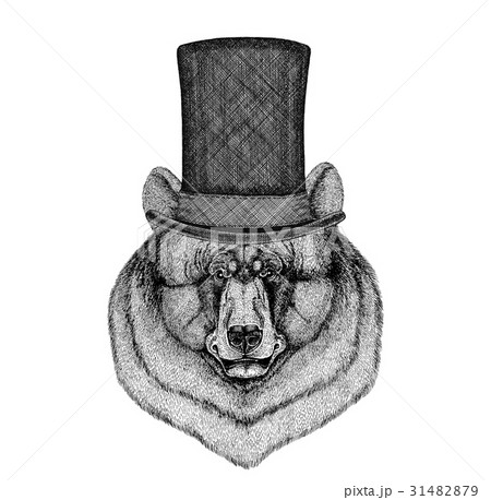 Black bear American bear wearing cylinder top hat 31482879