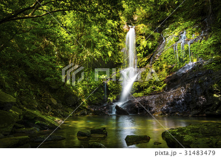 滝、渓流、沖縄。 31483479