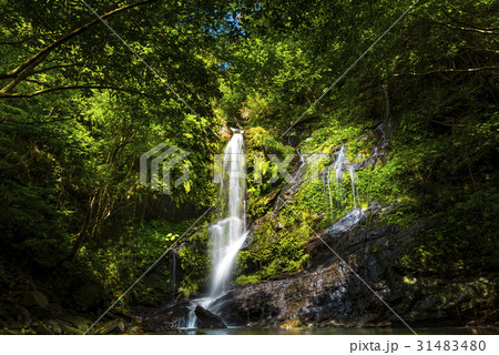 滝、渓流、沖縄。 31483480