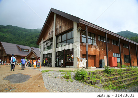 栂池自然園 信州白馬山麓 栂池自然園 信州白馬山麓 31483633