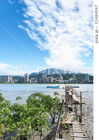 淡水 河畔 八里 31484047