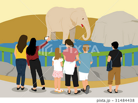 ゾウ 象 動物園のイラスト素材