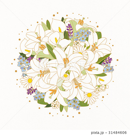 美しい花の画像 75 百合 花 イラスト