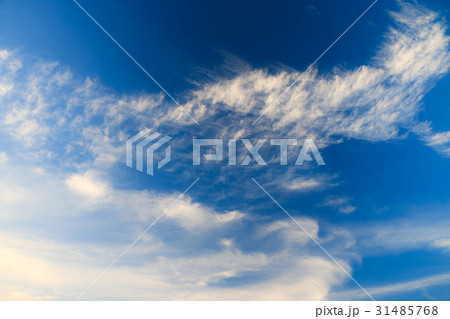 sky sky 31485768