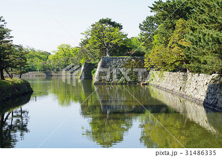 和歌山城の堀 31486335