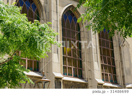 三休橋筋 三休橋筋 31486699