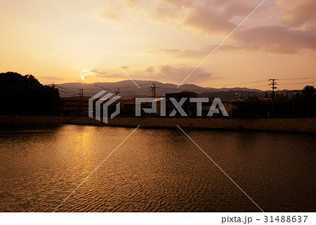 ニテコ池 31488637