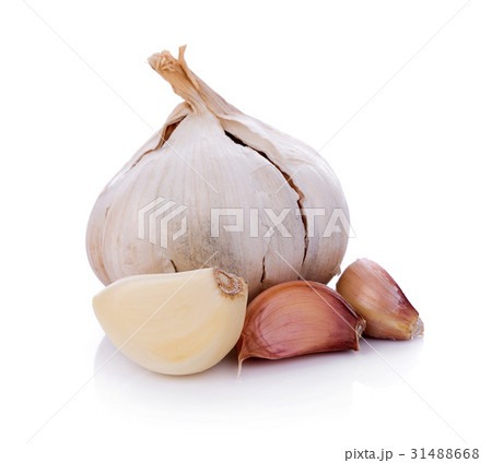 Garlic isolated on white background 31488668
