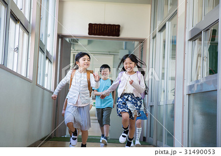 ランドセルを背負った小学生 ランドセルを背負った小学生 31490053