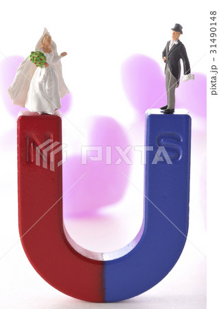 引き合う 31490148