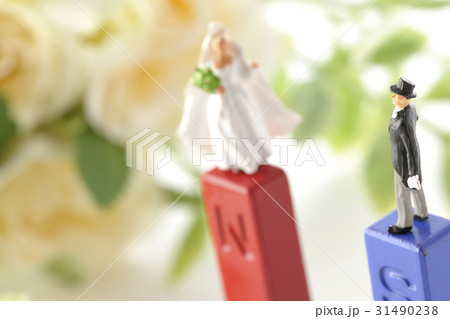 引き合う 引き合う 31490238