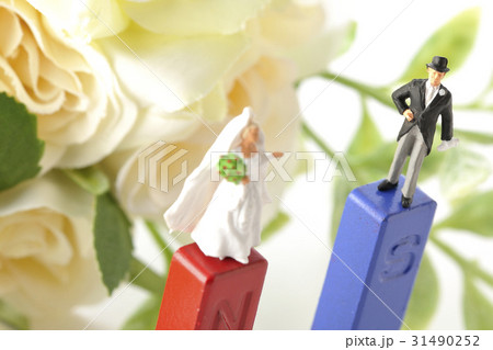 引き合う 31490252