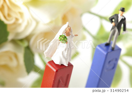 引き合うの写真素材