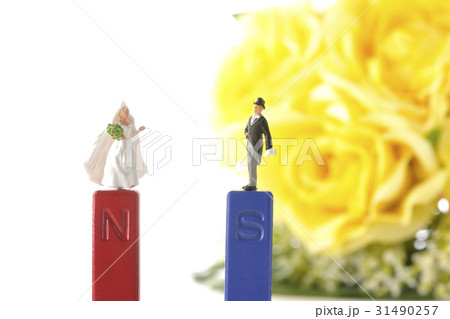 引き合う 引き合う 31490257