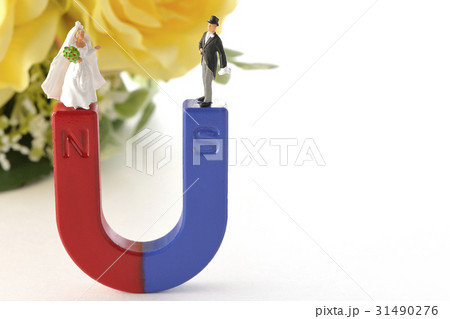 引き合うの写真素材