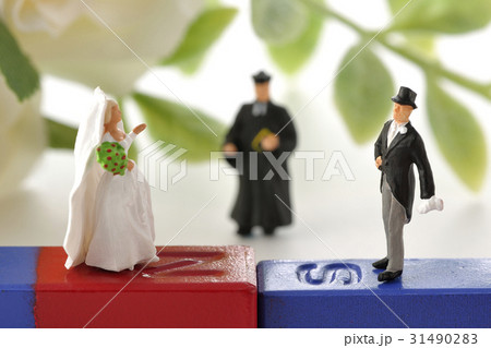 引き合う 31490283