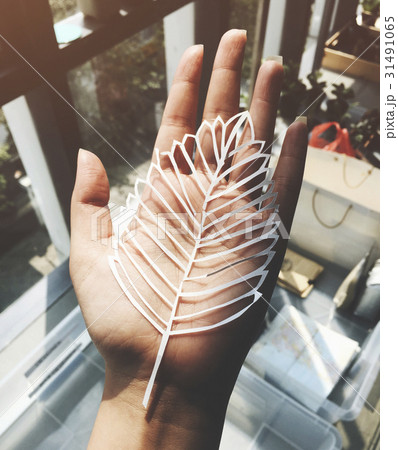 Paper Crafy Leaf on Hand Palm Paper Crafy Leaf on Hand Palm 31491065