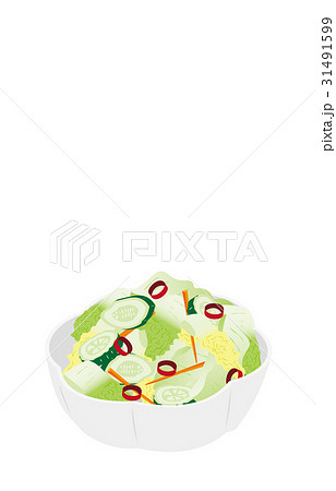 今日のご飯白菜の浅漬け 31491599