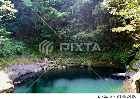 赤目四十八滝 渓谷 新緑 三重県 赤目四十八滝 渓谷 新緑 三重県 31492486