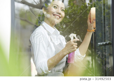 a young lady is happily cleaning window with sponge and glass cleaner 31492503