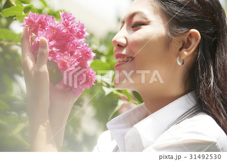 attractive woman is enjoying bougainvillaea's beauty attractive woman is enjoying bougainvillaea's beauty 31492530