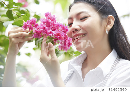 young lady is smiling, holding and smelling bougainvillaea young lady is smiling, holding and smelling bougainvillaea 31492540