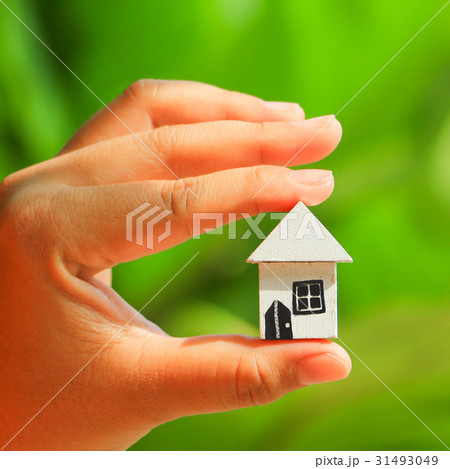 hand hold home model 31493049