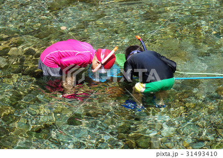 子供の川遊び。高知県木の香温泉前で魚捕り 31493410