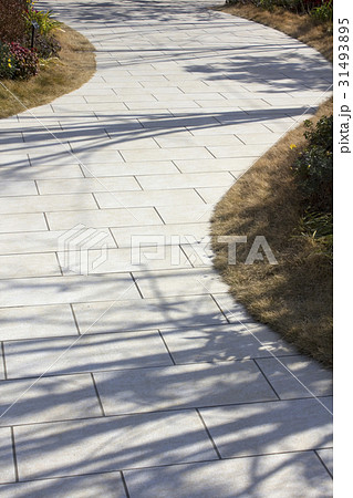歩道と木の影 31493895