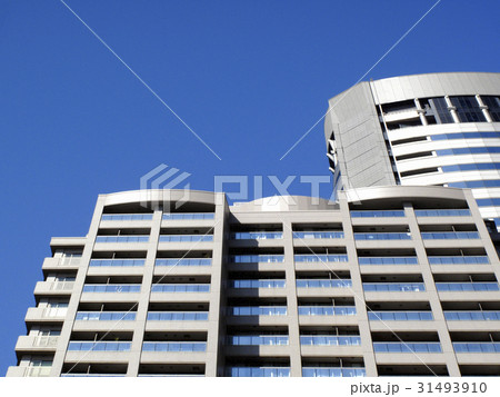 大阪アメニティーパーク 31493910