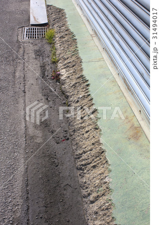 削れたコンクリート床 31494017