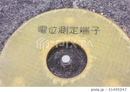 電位測定端子 31495047