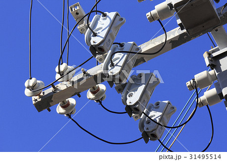 電柱の碍子 31495514