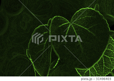 葉のイメージ合成 31496403
