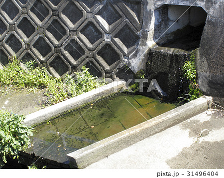 生活排水路と汚れた水 生活排水路と汚れた水 31496404