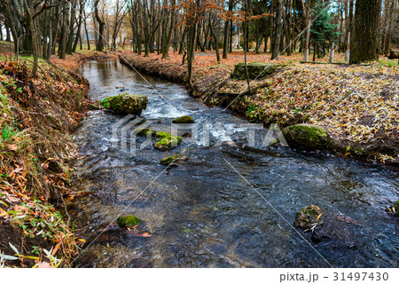 river in the parkprospect 31497430