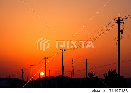 夕日 31497488