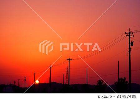 夕日 31497489
