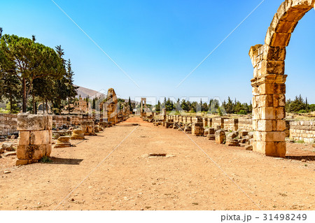 世界遺産アンジャル(レバノン、アンジャル) 世界遺産アンジャル(レバノン、アンジャル) 31498249