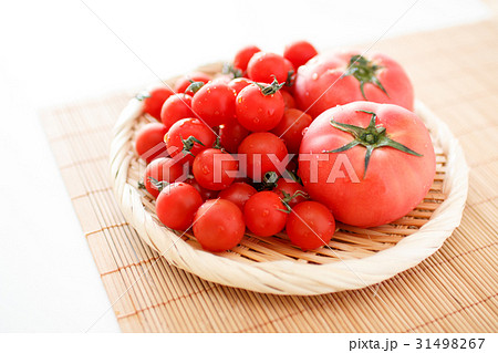トマト 31498267