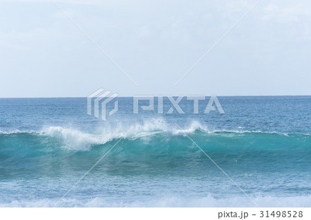 ハワイの海 31498528
